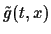 $\tilde{g}(t,x)$