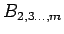 $B_{2,3\ldots,m}$