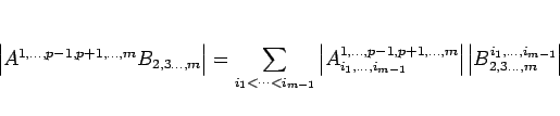 \begin{displaymath}
\left\vert A^{1,\ldots,p-1,p+1,\ldots,m}B_{2,3\ldots,m}\righ...
...ert
\left\vert B^{i_1,\ldots,i_{m-1}}_{2,3\ldots,m}\right\vert
\end{displaymath}