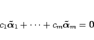 \begin{displaymath}
c_1\mbox{\boldmath$\tilde{\alpha}$}_1 + \cdots +c_m\mbox{\boldmath$\tilde{\alpha}$}_m=\mbox{\boldmath$0$}\end{displaymath}