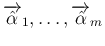 $\overrightarrow{\hat{\alpha}}_1,\ldots,
\overrightarrow{\hat{\alpha}}_m$