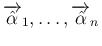 $\overrightarrow{\hat{\alpha}}_1,\ldots,\overrightarrow{\hat{\alpha}}_n$