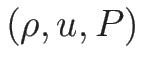 $(\rho,u,P)$