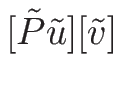 $\displaystyle {}
[\tilde{P}\tilde{u}][\tilde{v}]$