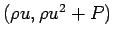 $(\rho u,\rho u^2+P)$