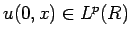 $u(0,x)\in L^p(R)$