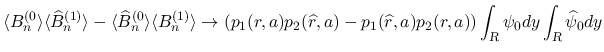 $\displaystyle \langle B^{(0}_n\rangle \langle\widehat{B}^{(1)}_n\rangle
-\lang...
...box{\scriptsize\sl R}}\psi_0dy\int_{\mbox{\scriptsize\sl R}}\widehat{\psi}_0dy
$