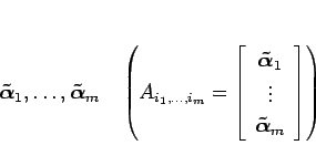 \begin{displaymath}
\mbox{\boldmath$\tilde{\alpha}$}_1,\ldots,\mbox{\boldmath$\t...
...\ \mbox{\boldmath$\tilde{\alpha}$}_m\end{array}\right]
\right)
\end{displaymath}