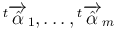 ${}^t{\overrightarrow{\hat{\alpha}}_1},\ldots,{}^t{\overrightarrow{\hat{\alpha}}_m}$