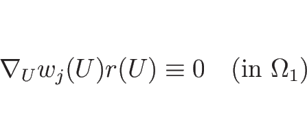 \begin{displaymath}
\nabla_U w_j(U) r(U)\equiv 0 \hspace{1zw}(\mbox{in $\Omega_1$})
\end{displaymath}